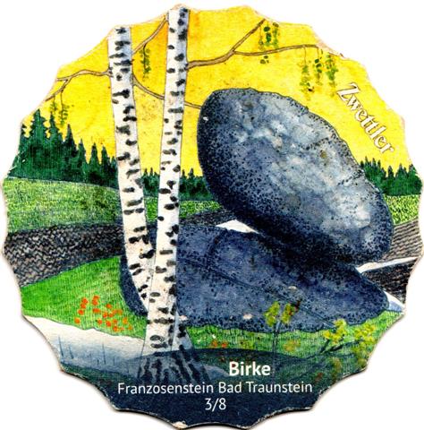 zwettl n�-a zwettler kunst 2023 2a (sofo210-motiv 3 birke)